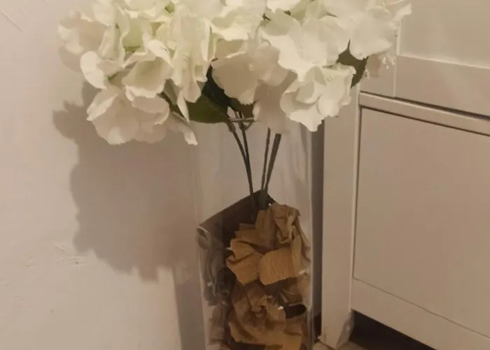 Pe Somes Appartement *